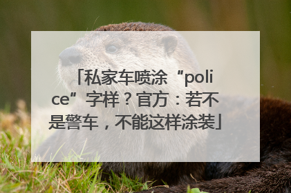 私家车喷涂“police”字样？官方：若不是警车，不能这样涂装