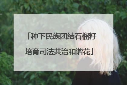 种下民族团结石榴籽 培育司法共治和谐花