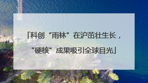 科创“雨林”在沪茁壮生长，“硬核”成果吸引全球目光