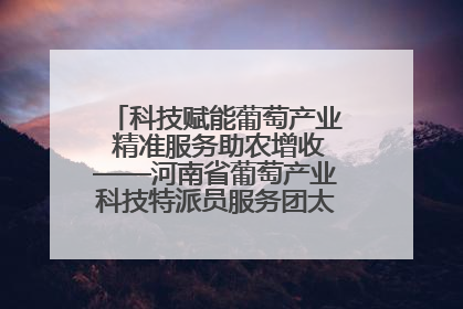 科技赋能葡萄产业 精准服务助农增收——河南省葡萄产业科技特派员服务团太康县科技服务纪实