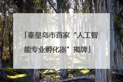 秦皇岛市首家“人工智能专业孵化器”揭牌