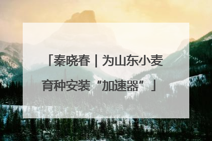 秦晓春｜为山东小麦育种安装“加速器”