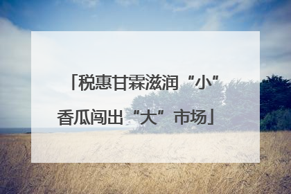 税惠甘霖滋润“小”香瓜闯出“大”市场
