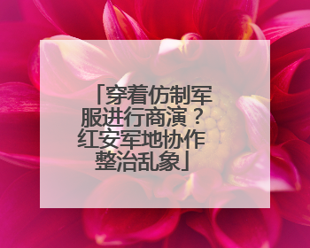 穿着仿制军服进行商演？红安军地协作整治乱象