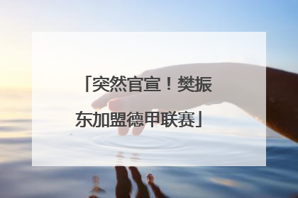 突然官宣！樊振东加盟德甲联赛