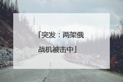 突发：两架俄战机被击中