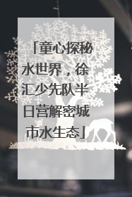 童心探秘水世界，徐汇少先队半日营解密城市水生态