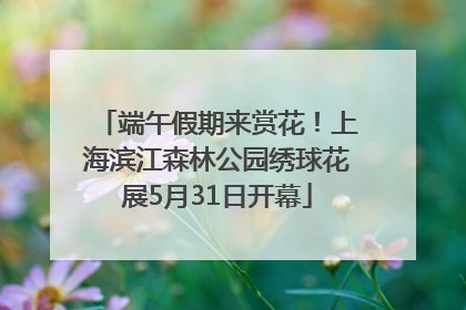 端午假期来赏花！上海滨江森林公园绣球花展5月31日开幕