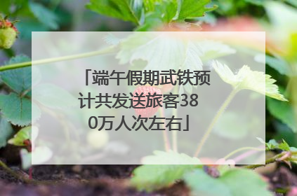 端午假期武铁预计共发送旅客380万人次左右