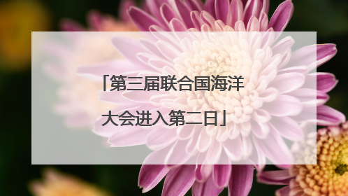 第三届联合国海洋大会进入第二日