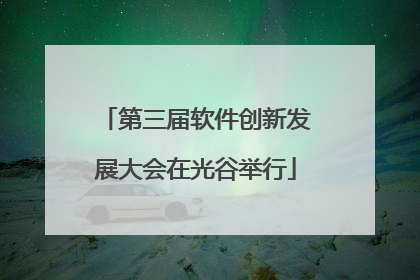 第三届软件创新发展大会在光谷举行