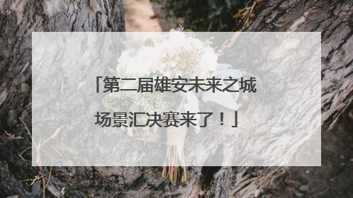 第二届雄安未来之城场景汇决赛来了！