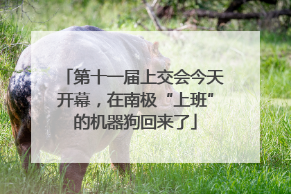 第十一届上交会今天开幕，在南极“上班”的机器狗回来了
