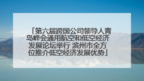 第六届跨国公司领导人青岛峰会通用航空和低空经济发展论坛举行 滨州市全方位推介低空经济发展优势