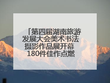 第四届湖南旅游发展大会美术书法摄影作品展开幕 180件佳作点燃岳阳文旅爆点