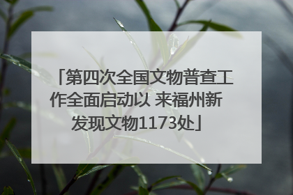 第四次全国文物普查工作全面启动以 来福州新发现文物1173处