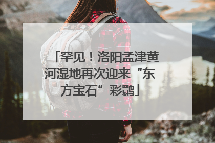 罕见！洛阳孟津黄河湿地再次迎来“东方宝石”彩鹮