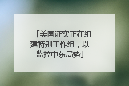 美国证实正在组建特别工作组，以监控中东局势