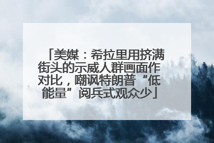 美媒：希拉里用挤满街头的示威人群画面作对比，嘲讽特朗普“低能量”阅兵式观众少