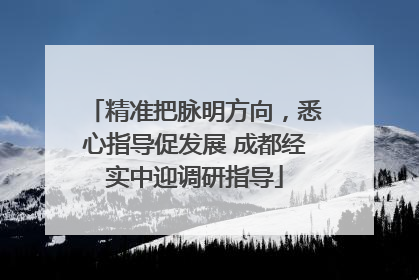精准把脉明方向，悉心指导促发展 成都经实中迎调研指导