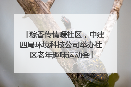 粽香传情暖社区，中建四局环境科技公司举办社区老年趣味运动会