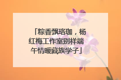 粽香飘珞珈，杨红梅工作室别样端午情暖藏族学子