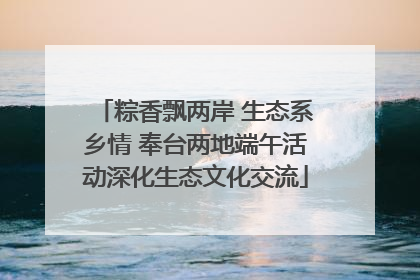 粽香飘两岸 生态系乡情 奉台两地端午活动深化生态文化交流