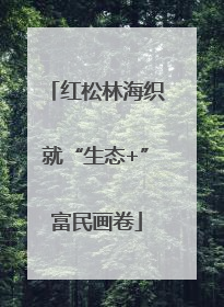 红松林海织就“生态+”富民画卷