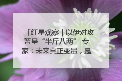 红星观察｜以伊对攻暂呈“半斤八两” 专家：未来真正变量，是美国是否进一步介入