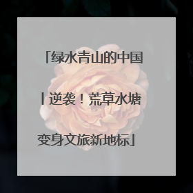 绿水青山的中国丨逆袭！荒草水塘变身文旅新地标