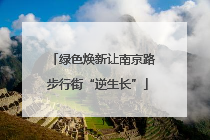 绿色焕新让南京路步行街“逆生长”