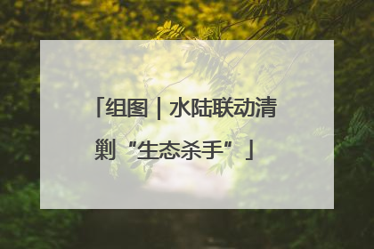 组图｜水陆联动清剿“生态杀手”