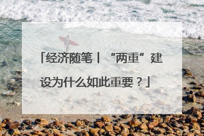 经济随笔丨“两重”建设为什么如此重要？