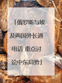 俄罗斯与埃及两国外长通电话 重点讨论中东局势