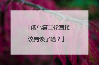 俄乌第二轮直接谈判谈了啥？
