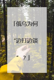 俄乌为何“边打边谈”？