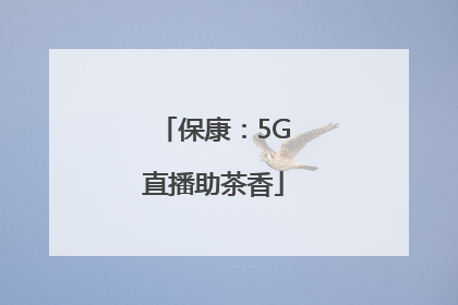 保康：5G直播助茶香