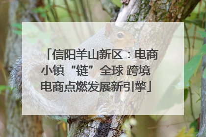 信阳羊山新区：电商小镇“链”全球 跨境电商点燃发展新引擎