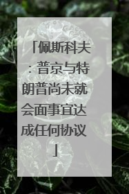 佩斯科夫：普京与特朗普尚未就会面事宜达成任何协议