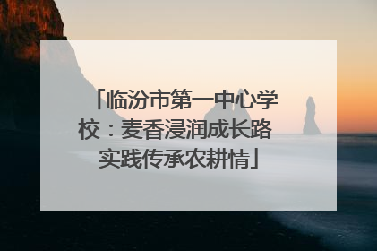 临汾市第一中心学校：麦香浸润成长路 实践传承农耕情