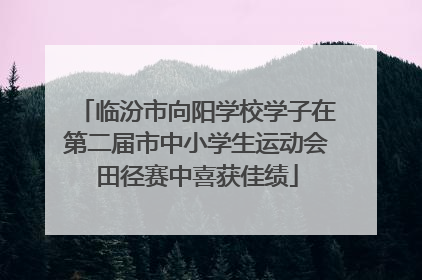 临汾市向阳学校学子在第二届市中小学生运动会田径赛中喜获佳绩