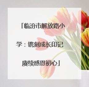 临汾市解放路小学：镌刻成长印记 赓续感恩初心
