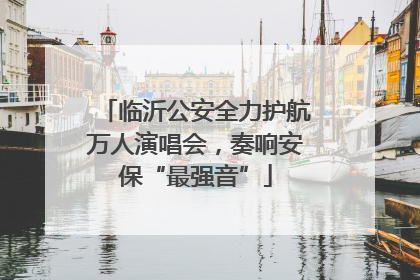 临沂公安全力护航万人演唱会，奏响安保“最强音”