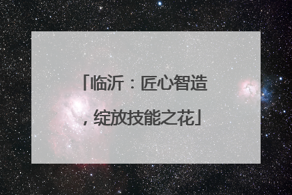 临沂：匠心智造，绽放技能之花
