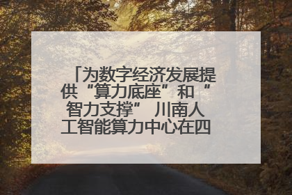 为数字经济发展提供“算力底座”和“智力支撑” 川南人工智能算力中心在四川泸州启动