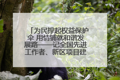 为民撑起权益保护伞 用情铺就和谐发展路——记全国先进工作者、新区项目建设中心干部卢小勇
