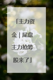 主力资金｜尾盘主力抢筹股来了