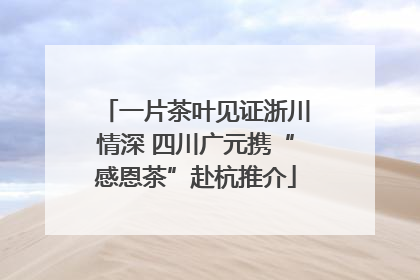 一片茶叶见证浙川情深 四川广元携“感恩茶”赴杭推介