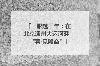 一眼越千年：在北京通州大运河畔“看·见殷商”