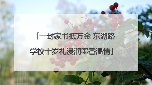 一封家书抵万金 东湖路学校十岁礼浸润墨香温情